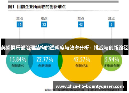 英超俱乐部治理结构的透明度与效率分析:挑战与创新路径 英超俱乐部治理结构的透明度与效率分析:挑战与创新路径